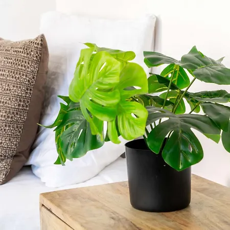 公寓 Cozy One Bedroom At Centrum *