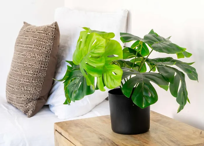 Apartment Cozy One Bedroom At Centrum *