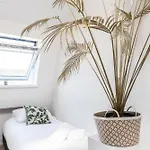 Cozy One Bedroom At Centrum Apartment *